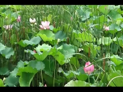 LanTu TREE Voyah бесплатный автомобиль Voyah SUV электромобиль 520KM Быстрая зарядка 0.5H