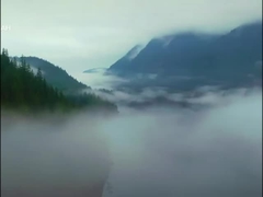 Электрический внедорожник Voyah Free